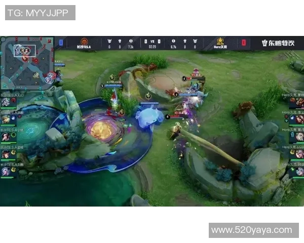 王者荣耀纪实：记录TES的成长故事